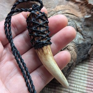 Black Knotted Deer Antler - large