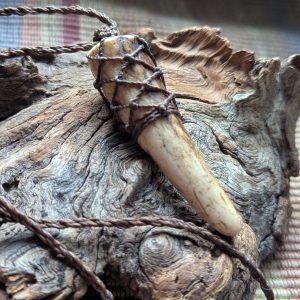 Brown Knotted Deer Antler - medium