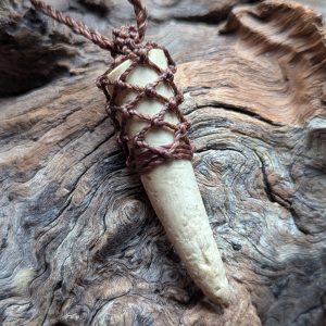 Brown Knotted Deer Antler