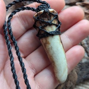 Black Knotted Deer Antler